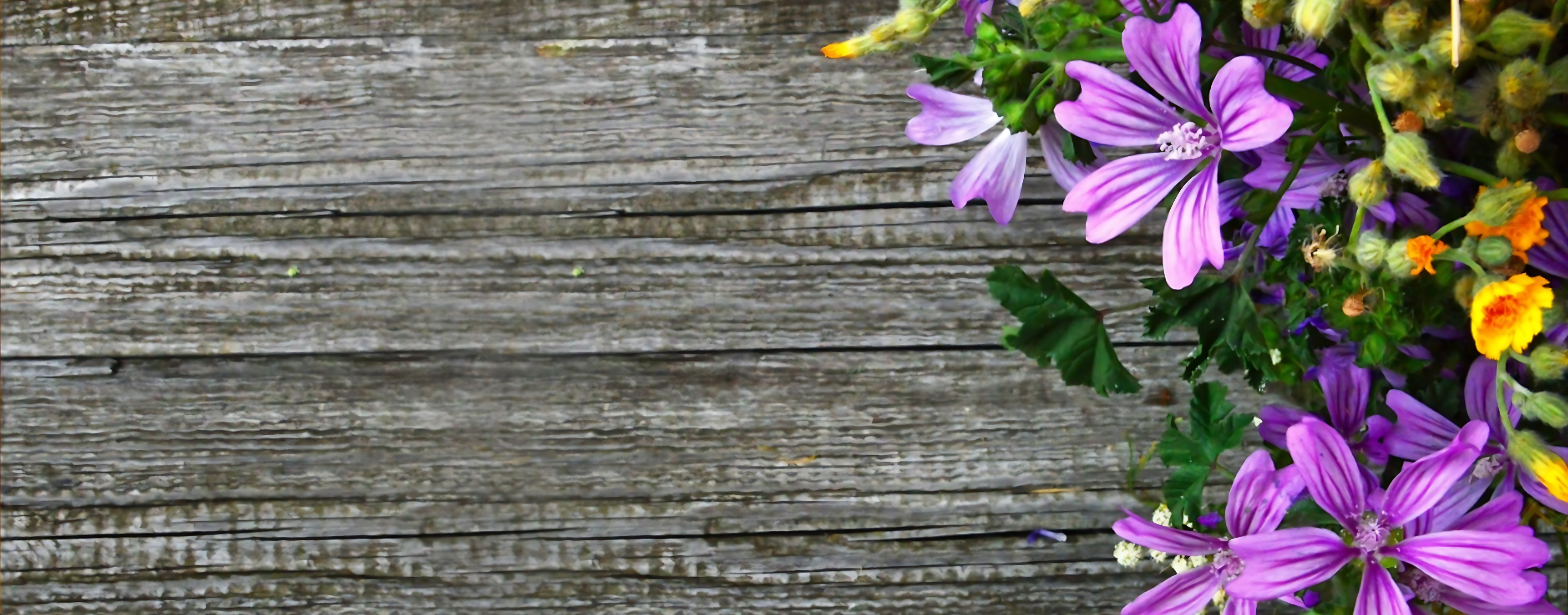 perfumes-arabes-florales