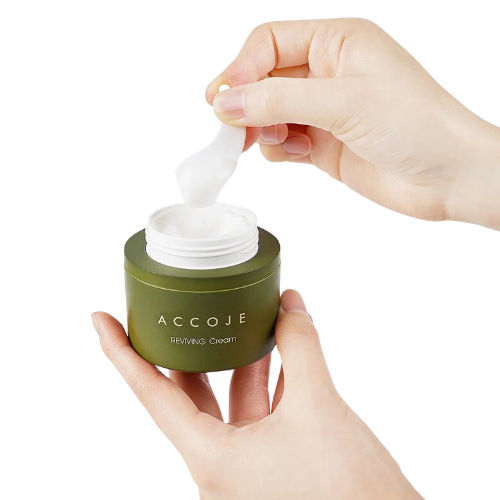 ACCOJE crema facial hidratante 50ml revitalizante skincare coreano
