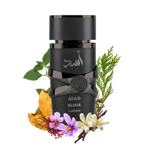 Asad Elixir de Lattafa, perfume intenso y magnético con acordes ambarados, vainilla y maderas oscuras. Una fragancia que proyecta fuerza y carácter.