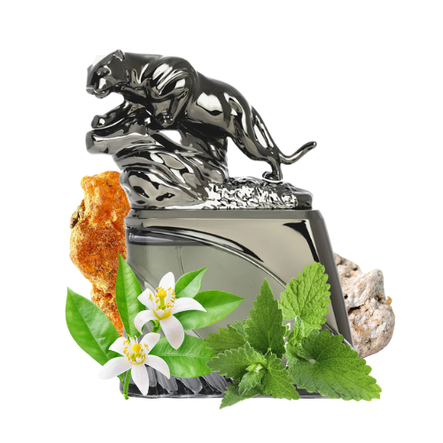 Perfume arabe Arabiyat Prestige Fahad Gaze original