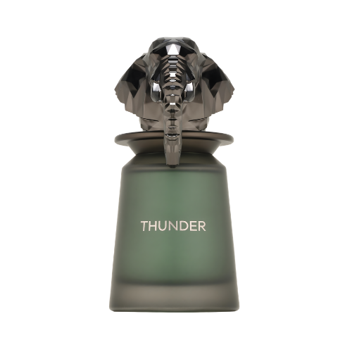 French Avenue Thunder perfume unisex 100 ml frasco moderno con diseño oscuro y carácter potente