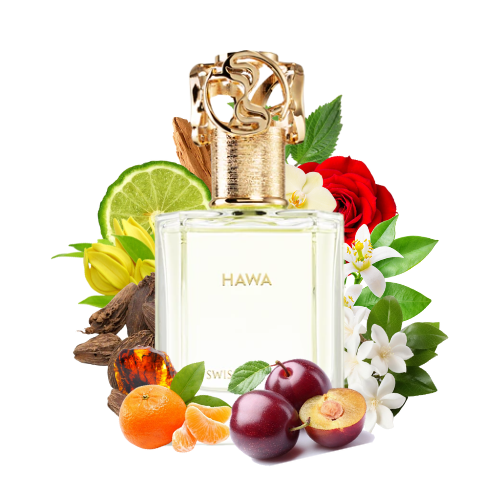 Swiss Arabian - Hawa - 50ml - Eau de Parfum - Perfum Unisex
